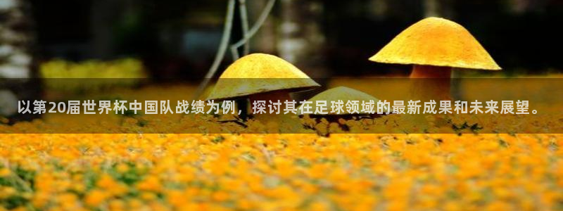 世界杯女足直播:以第20届世界杯中国队战绩为例,探讨其在足球领域的最新成果和未来展望。