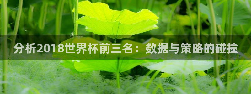 2026世界杯对阵图:分析2018世界杯前三名:数据与策略的碰撞