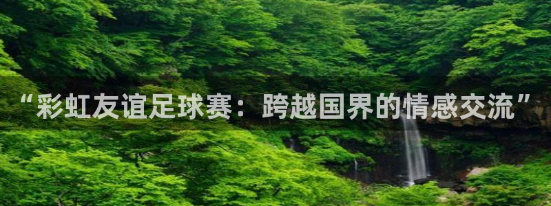 2026世界杯赛:“彩虹友谊足球赛:跨越国界的情感交流”