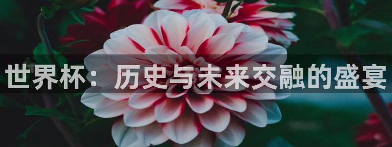 世界杯比赛赛程:世界杯:历史与未来交融的盛宴