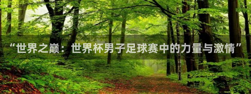 世界杯预选赛欧洲赛区积分榜:“世界之巅:世界杯男子足球赛中的力量与激情”