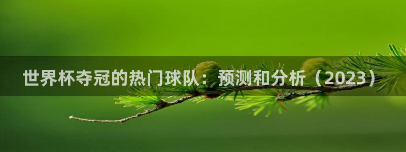 2026世界杯中国队:世界杯夺冠的热门球队:预测和分析(2023)