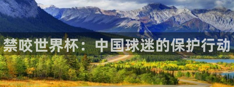 世界杯小组赛赛程:禁咬世界杯:中国球迷的保护行动